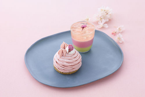patisserieKIHACHI_sakura