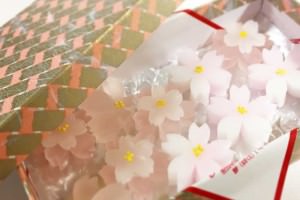 塩野の春の和菓子をご紹介！可憐で美しい桜の干菓子