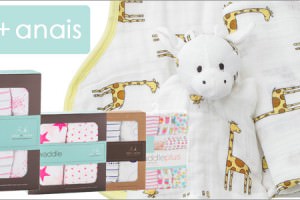 エイデンアンドアネイ　人気