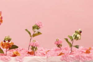 出産祝いの時期