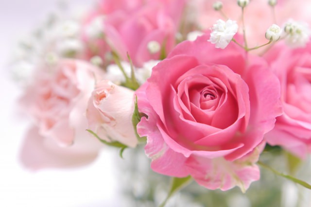 薔薇風呂 ローズバス