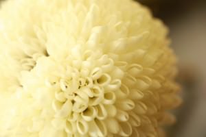 香典返し　マナー