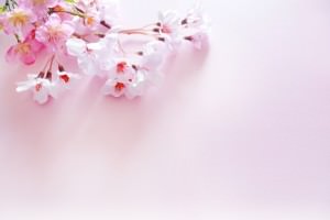 入園・入学・進学祝い