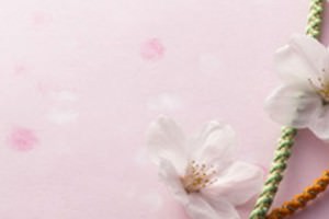 春を感じるアイテム