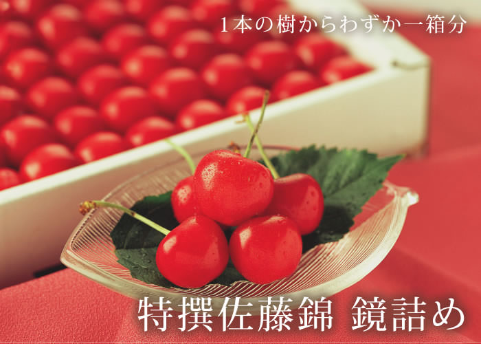佐藤錦さくらんぼ　鏡詰め