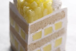 エクストラスーパーメロンショートケーキ