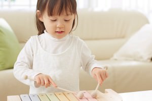 エドインターの木琴 NIHONシリーズ