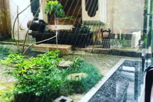 鍵善良房の四条本店の中庭