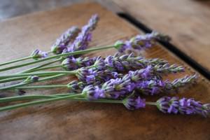 Be　ビー　フェイス＆ボディシート