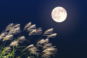 お月見の時期