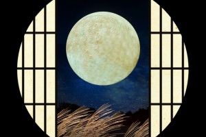 お月見のお供え物