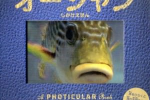 オーシャン　しかけえほん