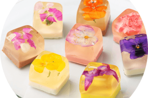 花のババロア　ペタル(1)