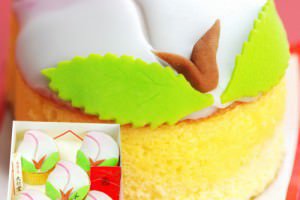 雛祭り　桃カステラ