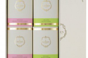 マイセン コーヒー ドリップバッグコーヒーセット