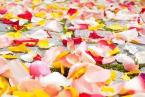 ローズのバスソルト