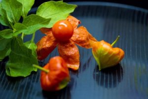 お盆,お供えもの