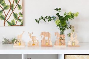 アロナチュラ　Aronatura