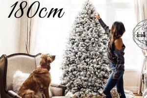 雪が降り積もったブリッスルスノーツリー