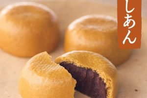 日本三大まんじゅう,柏屋薄皮饅頭