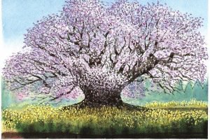 やさしい大人の塗り絵,やすらぎの風景編