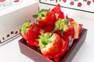 オードリーのオードリー ホワイト