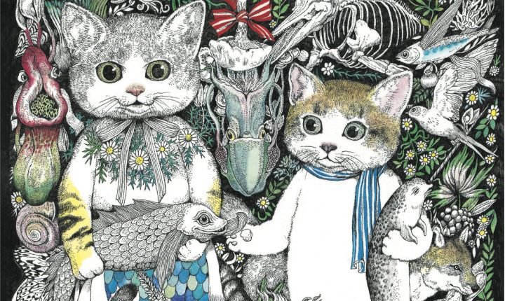 大人が楽しむ「大人のぬり絵」ストレス解消やセラピー効果も