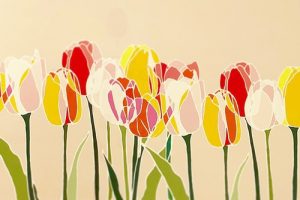 TOKYOチューリップローズ,