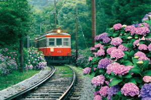 入門編パズル,おすすめ