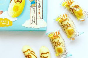 羽田空港,空とぶ東京ばな奈くまッス