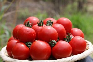 バンビーノ,トマトジュース