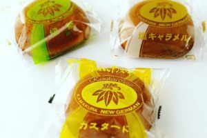 鎌倉ニュージャーマン,かまくらカスター