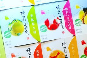 一心堂,摘みたて果実　9個入り