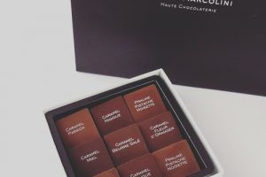 ピエール マルコリーニ,パレ　ファン