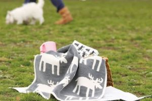 クリッパンのブランケット