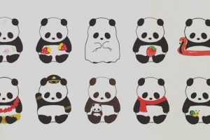 パンダバウムの仲間の種類