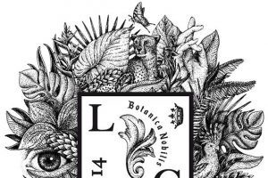 クヴォン・デ・ミニム