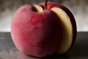 銀座ポワールの陸奥林檎