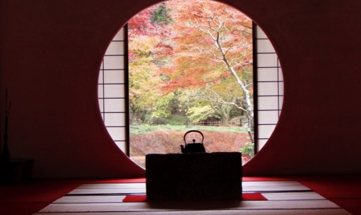秋の手土産におすすめ【日本の心を贈る】秋の和菓子特集！