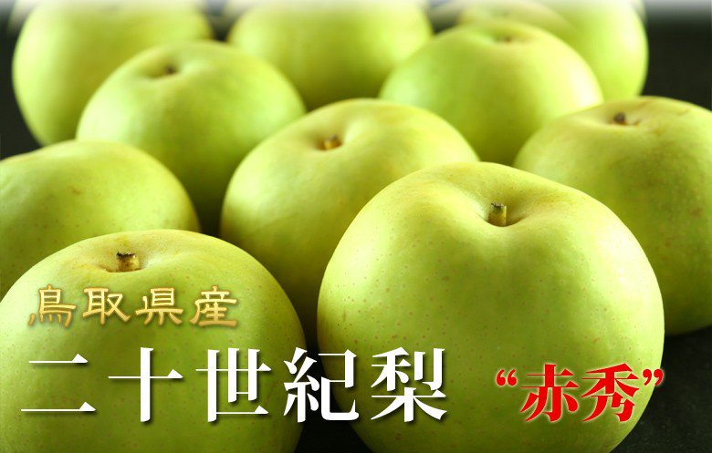 鳥取県産の二十世紀梨