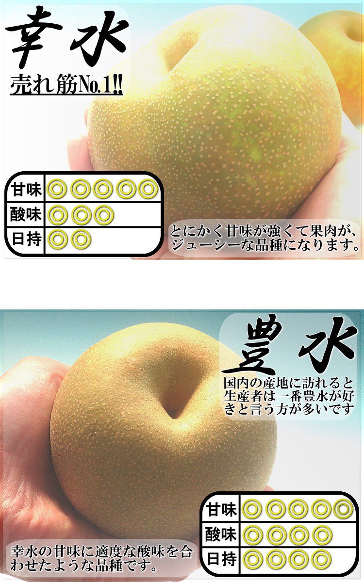 千葉梨の梨
