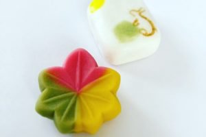 とらやの秋の生菓子