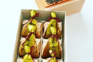 満天星一休,杣の木洩日