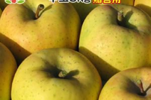 星の金貨,りんご