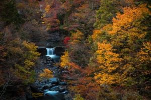 岐阜県中津川市