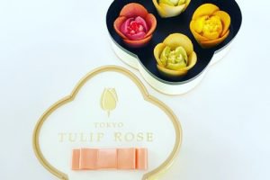 チューリップローズのプレシャス