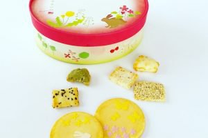 赤坂柿山の春山遊び