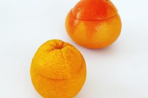 京橋千疋屋の自家製くりぬきゼリー