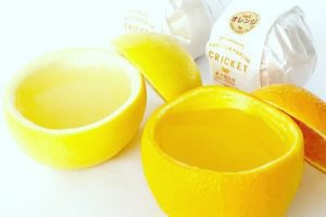 フルーツパーラーのフルーツゼリー