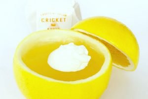 クリケットのグレープフルーツゼリー